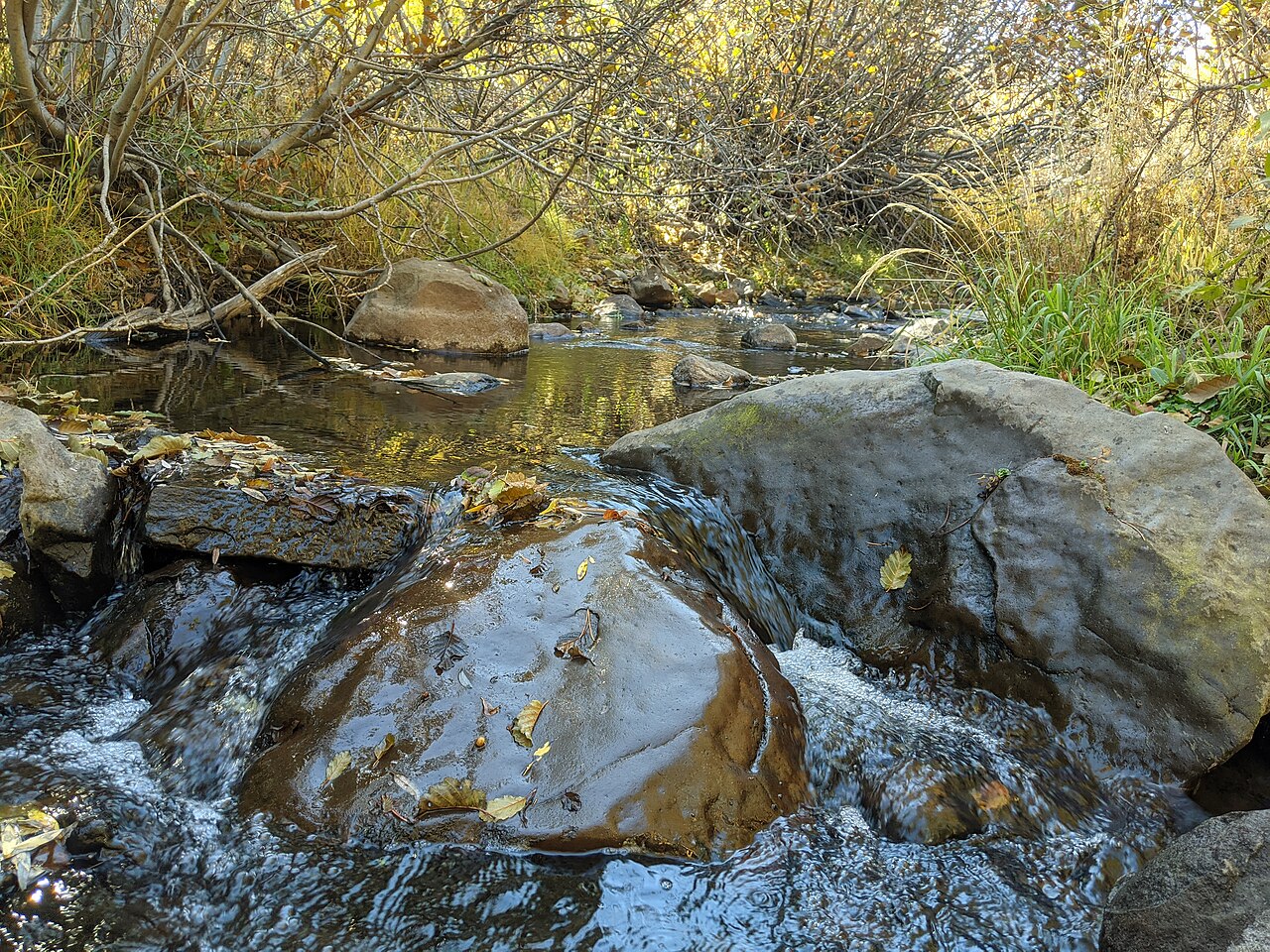 Alder Creek Divide